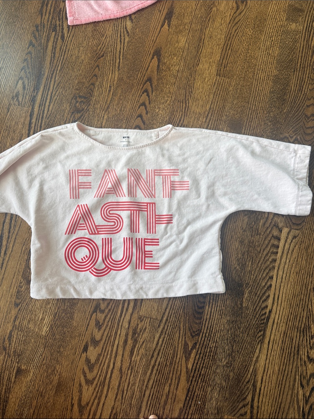 Maeve Light Pink Cropped Sweatshirt with Pink Striped FANTASTIQUE Graphic